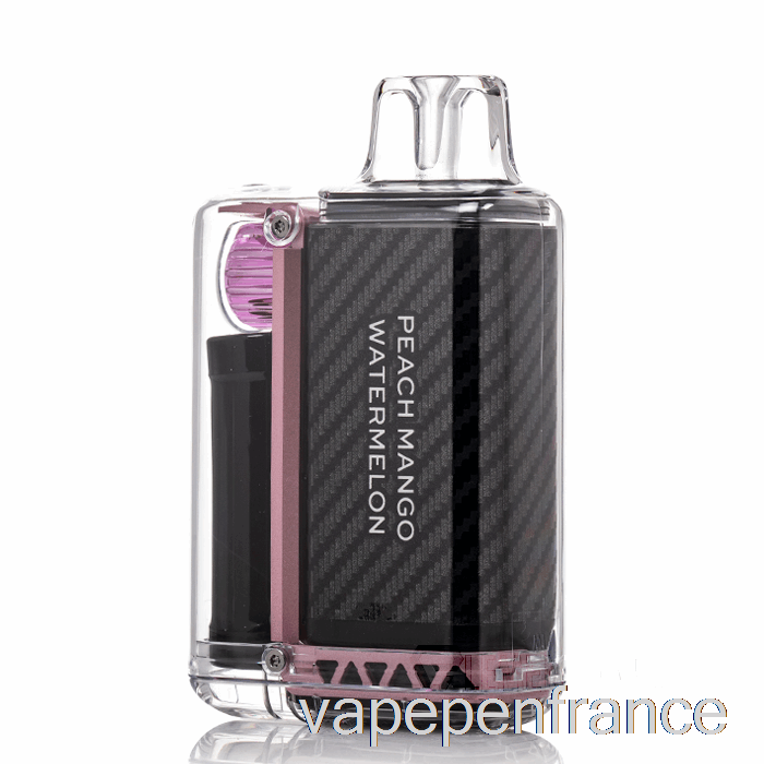 Vozol Vista 16000 Stylo Vape Jetable Pêche Mangue Pastèque